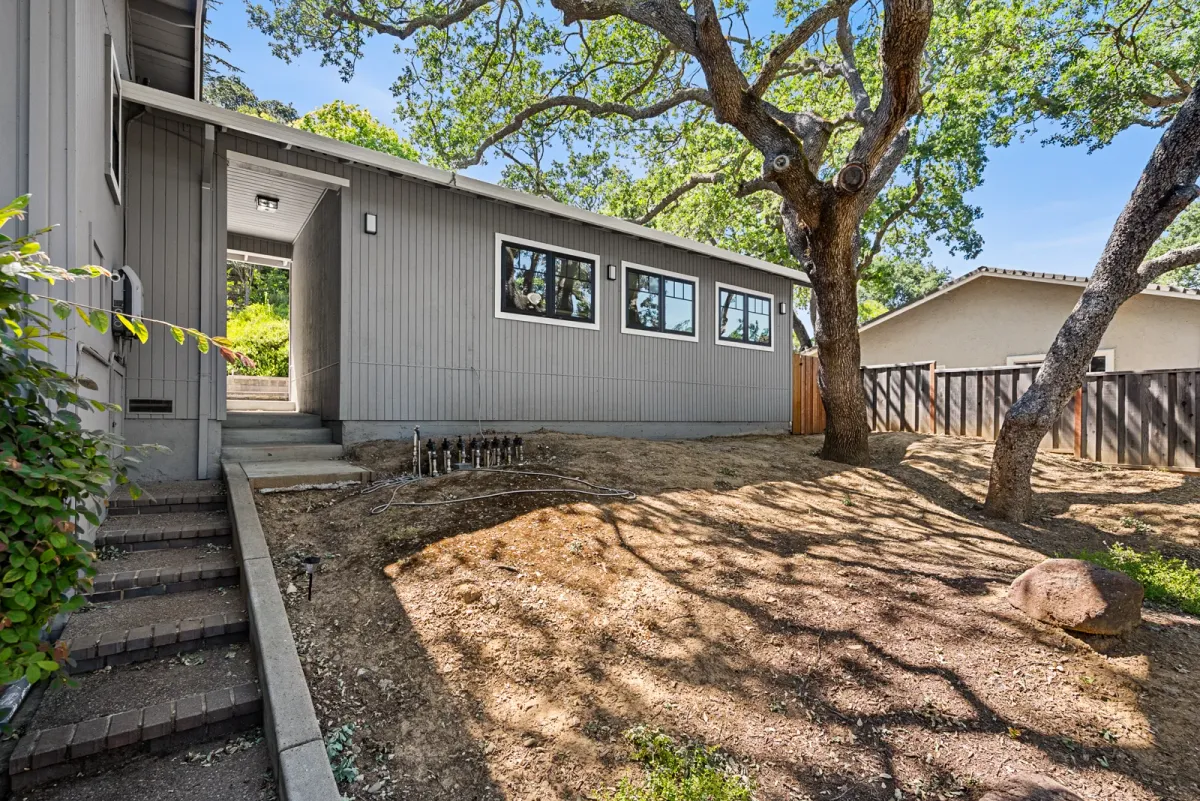 The JADU seen from the concrete steps, oak canopy overhead and a new fence behind